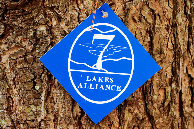 7 Lakes Alliance Tree Sign, Maine