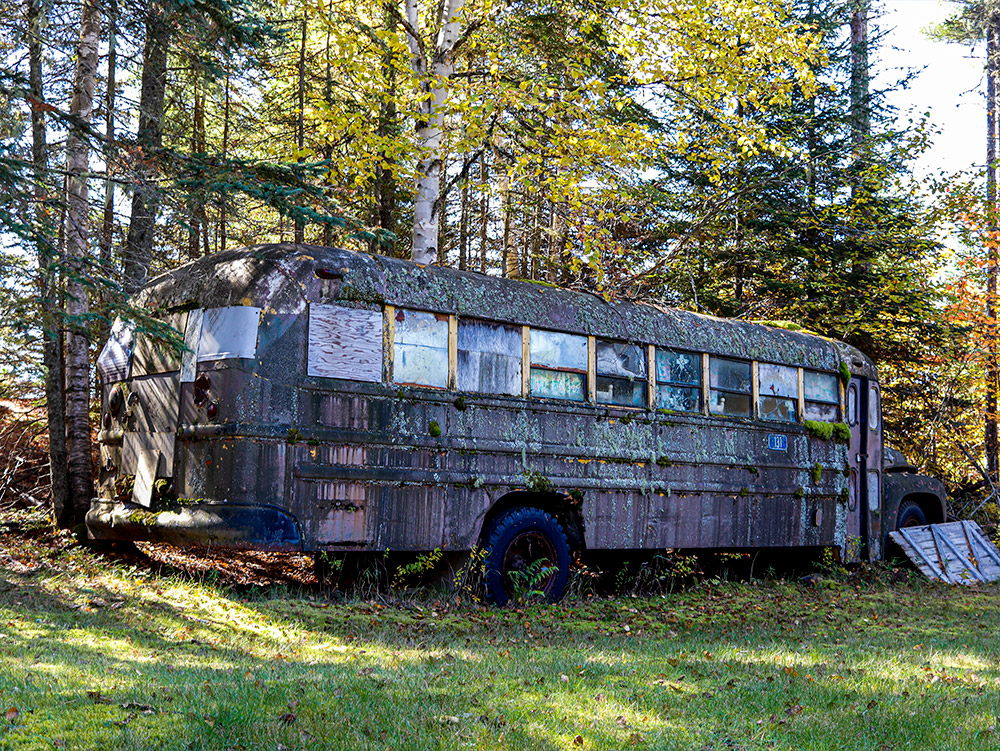 Old Abandoned Bus