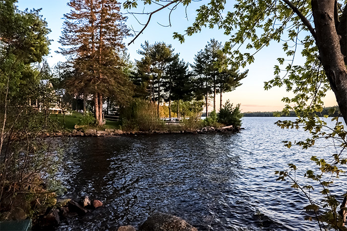 Long Pond Shoreline, Belgrade Lakes, Maine