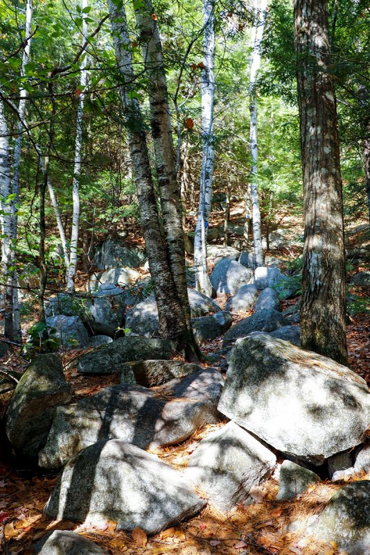 Boulders in Hiking Trail