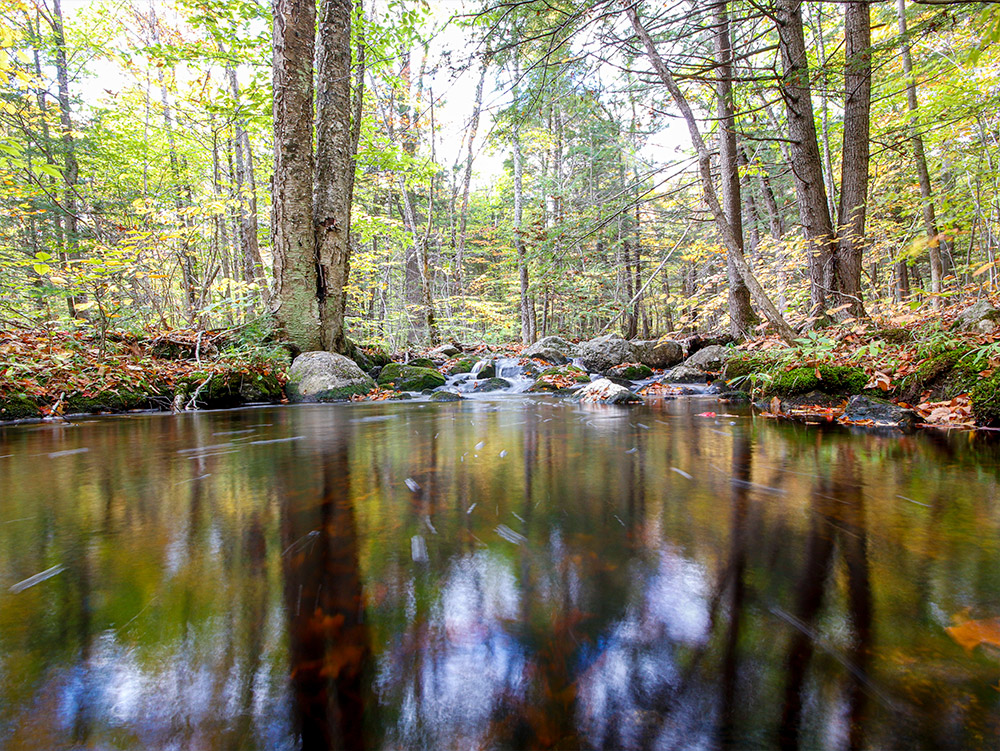 Calm Water Running in Beaver Brook, Rome, Maine