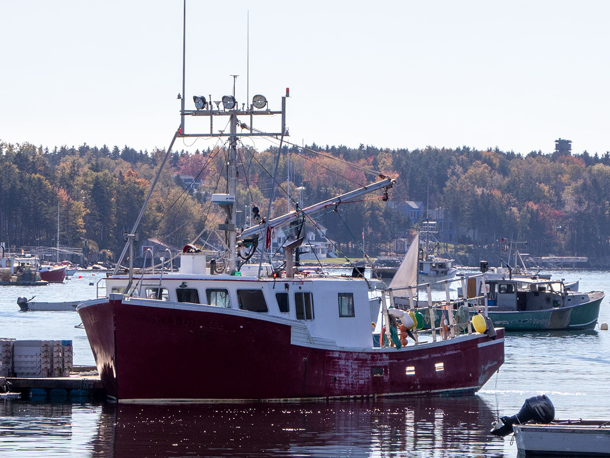 Fishing Boat in Mackerel Cove, Baily Island, Harpswell, Maine