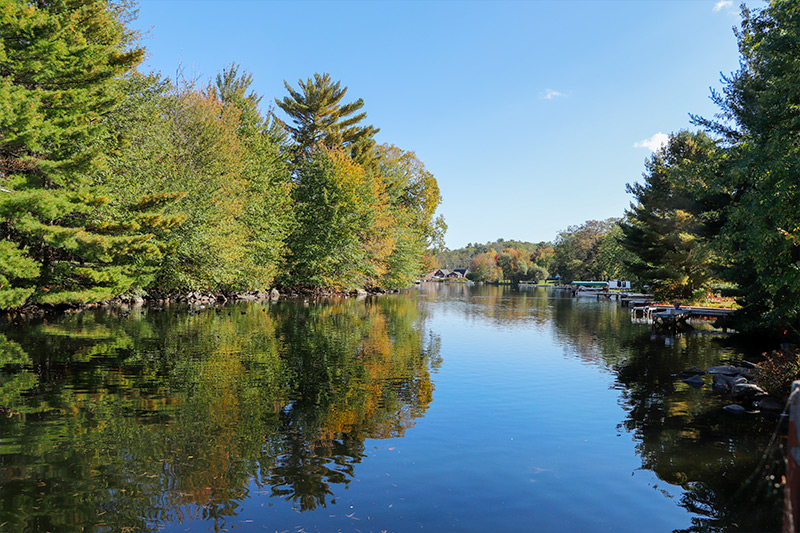 Great Pond Cove, Belgrade Lakes, Maine