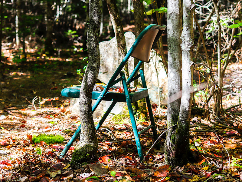 Leaves Landing on Chair in Autumn Woods