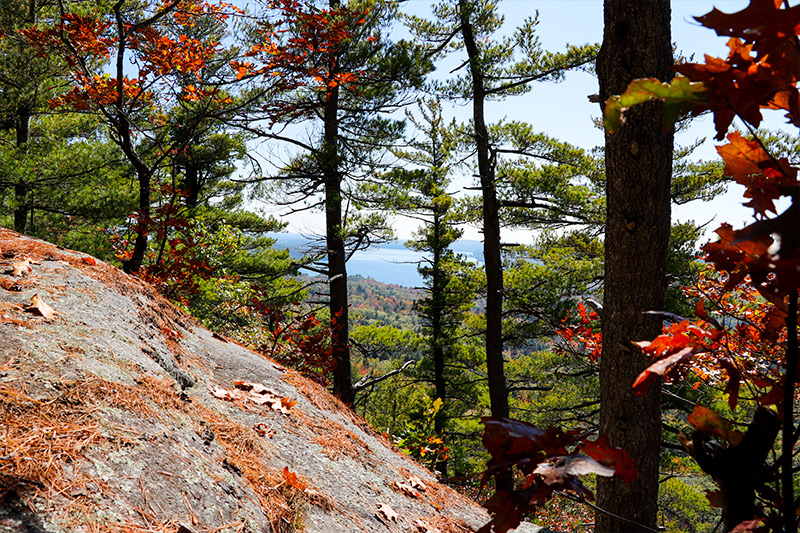 Mount Phillip Trail Overlook, Maine