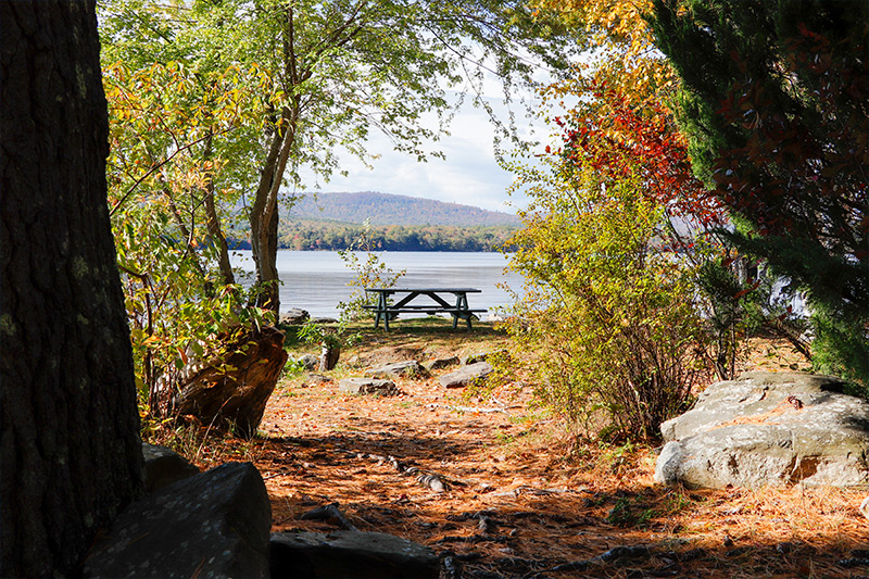 Peninsula Park Picnic Tables, Long Pond, Maine