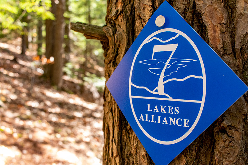 7 Lakes Alliance Tree Sign