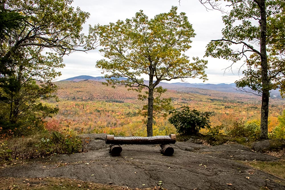 Bench at Lookout Point Along Trail