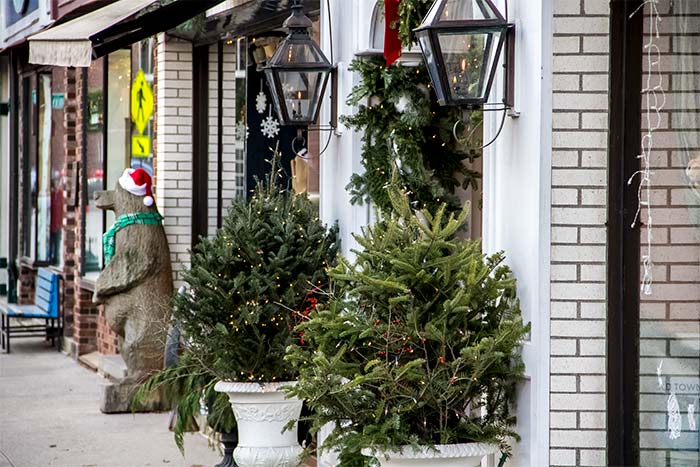 Christmas Trees on Sidewalk in Camden, Maine