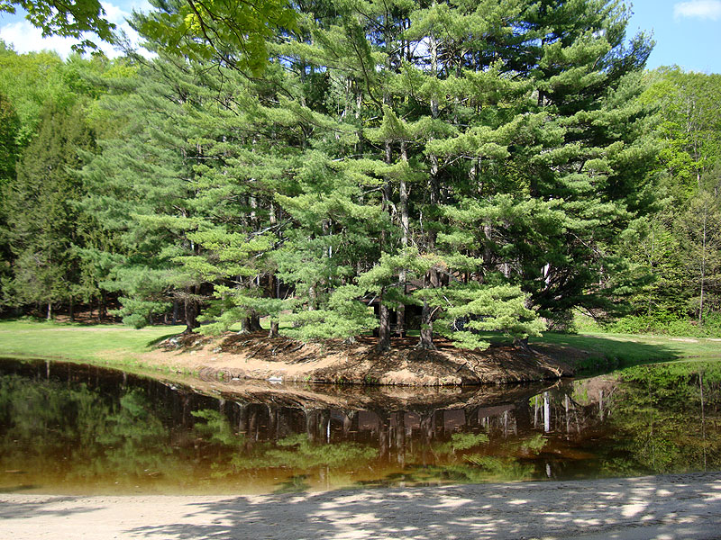 Pond at Mashamoquet Brook State Park