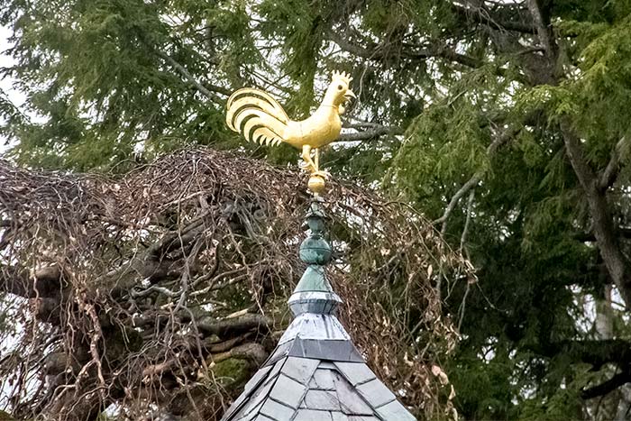 Gold Rooster on Top of Tower