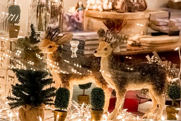 Holiday Reindeer in Window