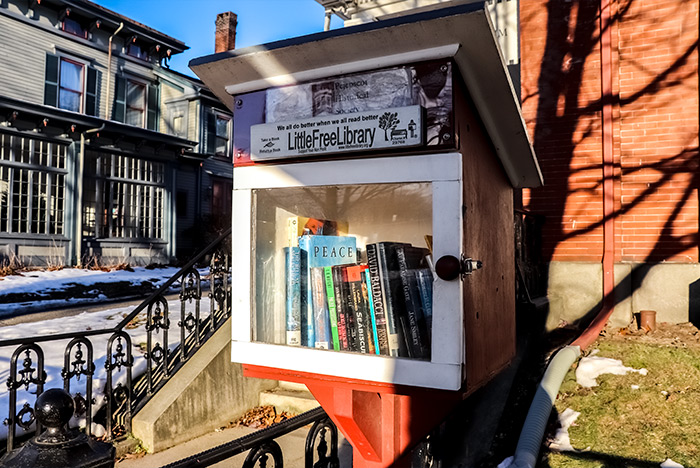 Little Free Library Box