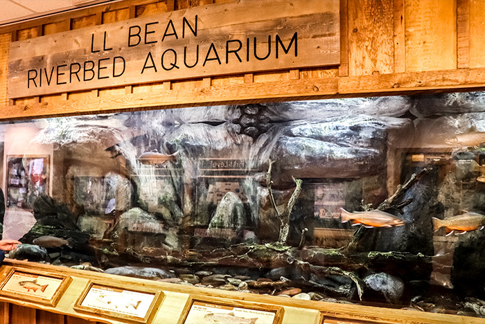 L.L. Bean Riverbed Aquarium