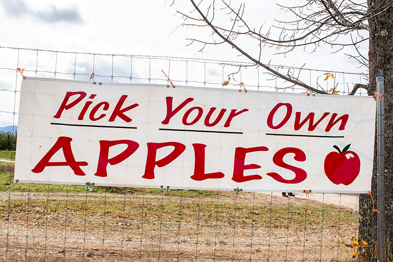 Pick Your Own Apples Sign