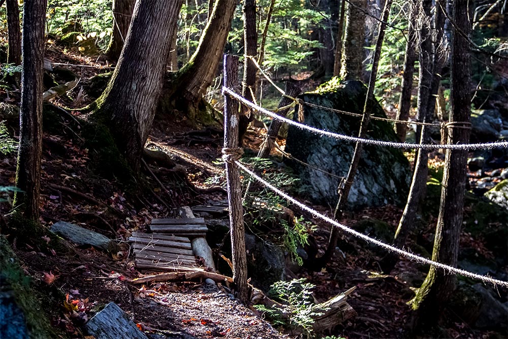 Rope Bridge in Wood on Trail