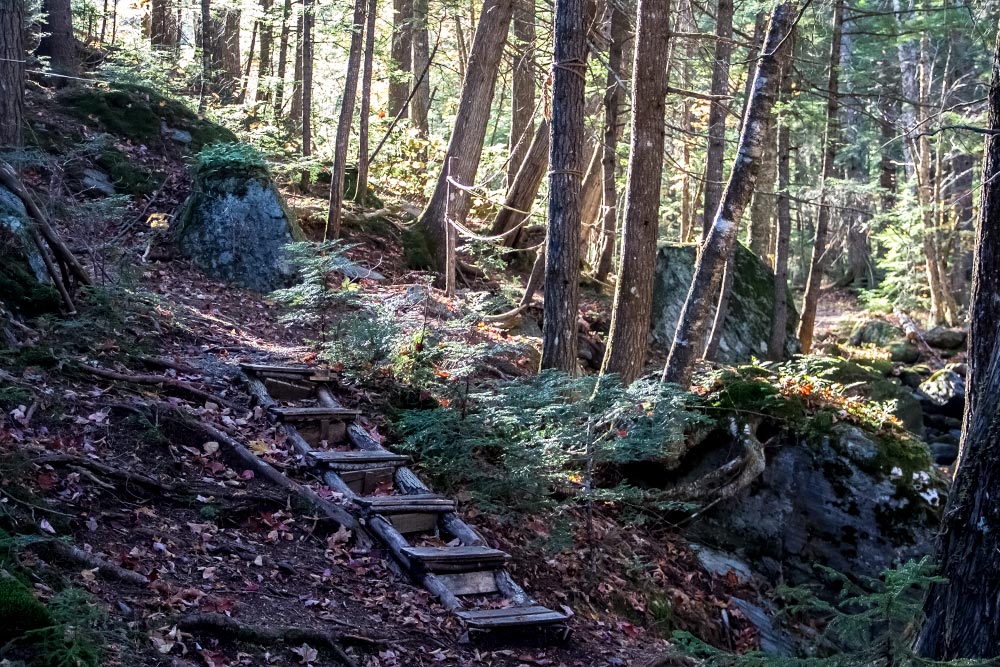 Staircase Along Trail in the Woods