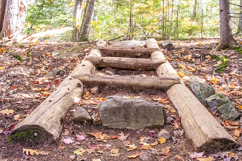 Wooden Trail Staircase