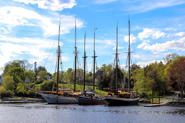 Three Sailboats in Camden Harbor, Maine