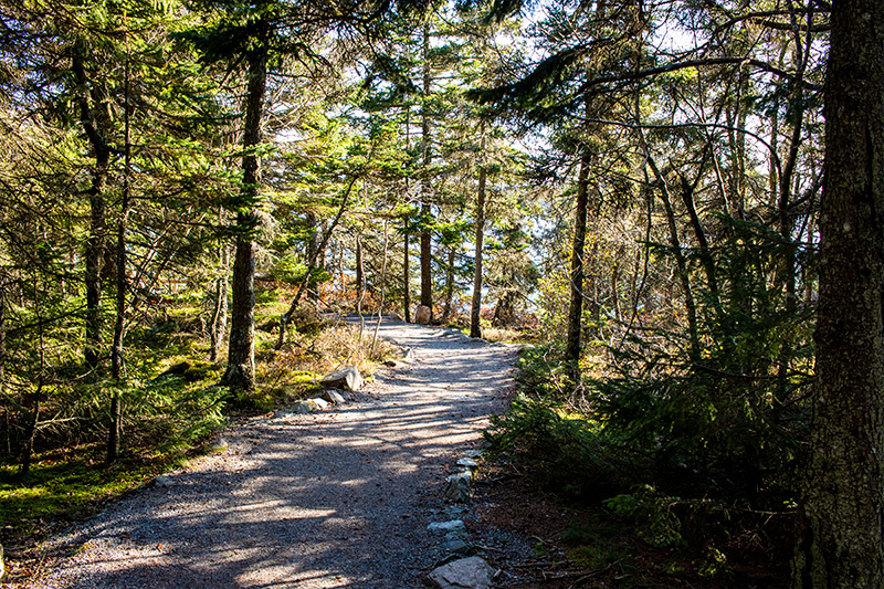 Trail to Bass Harbor Lighthouse