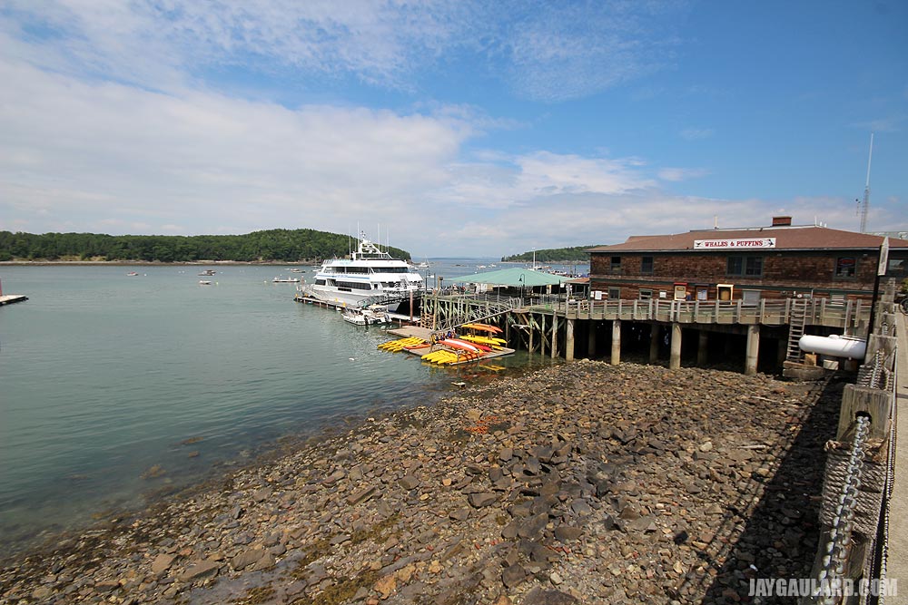 Bar Harbor Waterfront - Wale and Puffin Tours