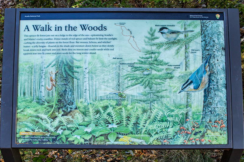 Walk in the Woods Sign Along Ship Harbor Trail