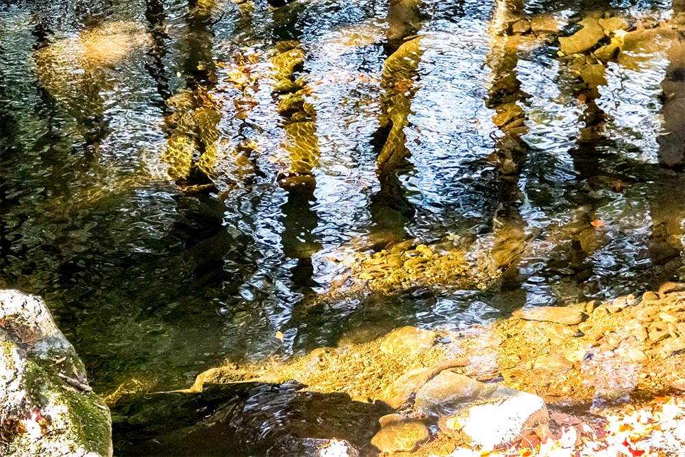 Water Pool in Maine Stream