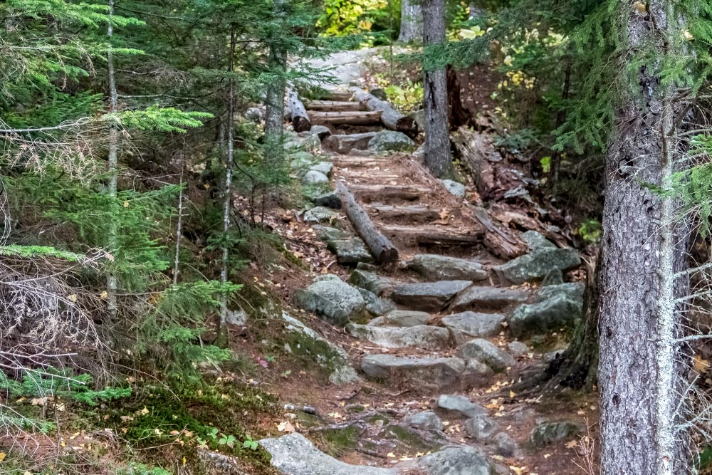 Wood and Stone Trail Staircase