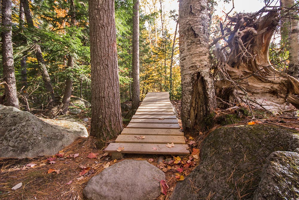 Wooden Walkway on Caboose Trail
