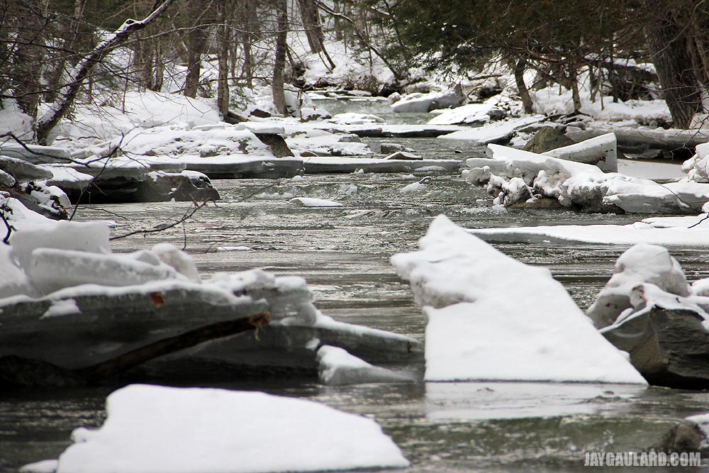 Ice Chunks in River