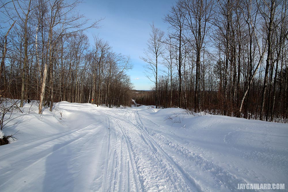 Looking East on Snowmobile Trail