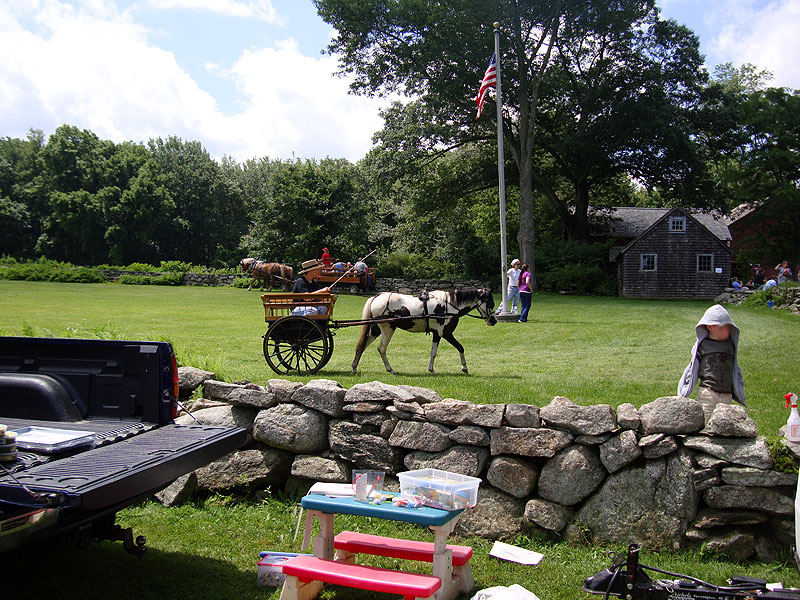 Small Horse Pulling Carriage at the Nathan Hale Homestead