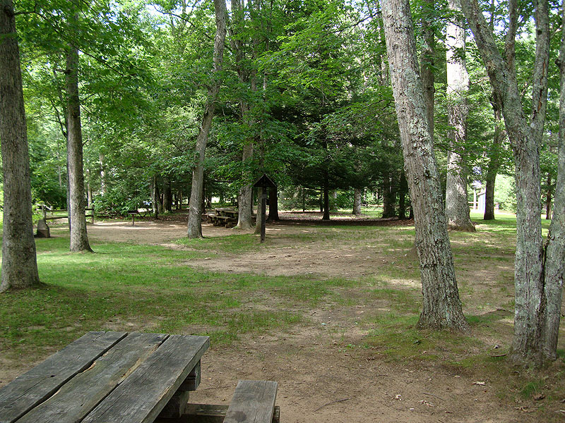 Salmon River State Forest Picnic Area