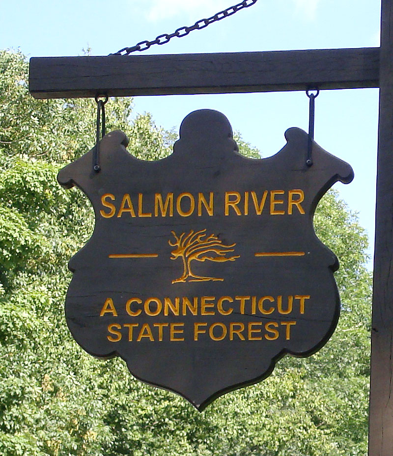 Connecticut State Forest Sign