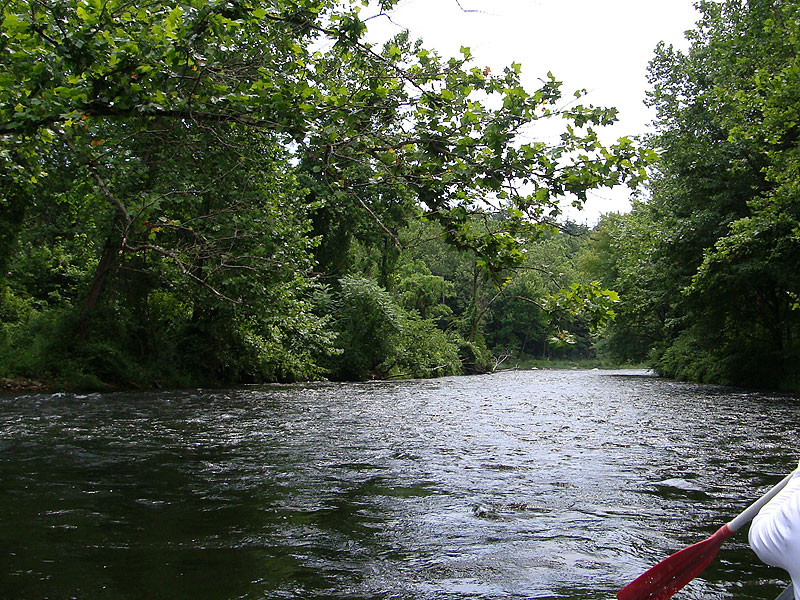 Fast Water While Canoeing Down Farmington River