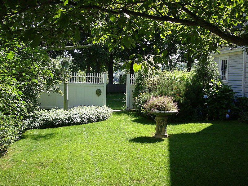 Lovely Backyard Garden