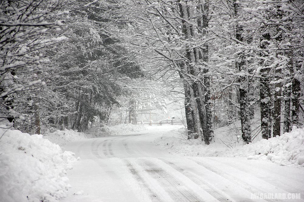 Snow Covered Country Road in Maine