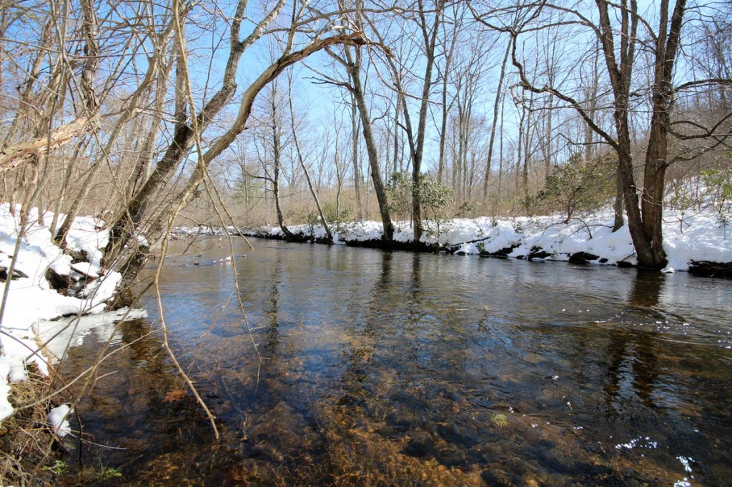 Blackledge River In Marlborough, Connecticut