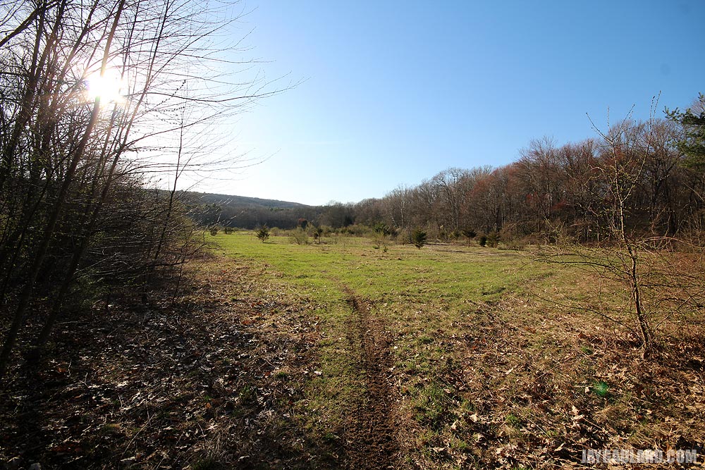 Large Field With ATV Trail Leading Into It