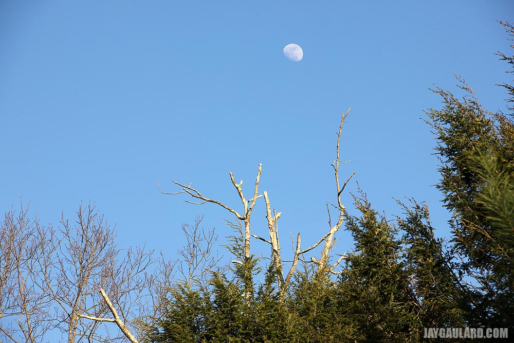 Moon Against Blue Sky