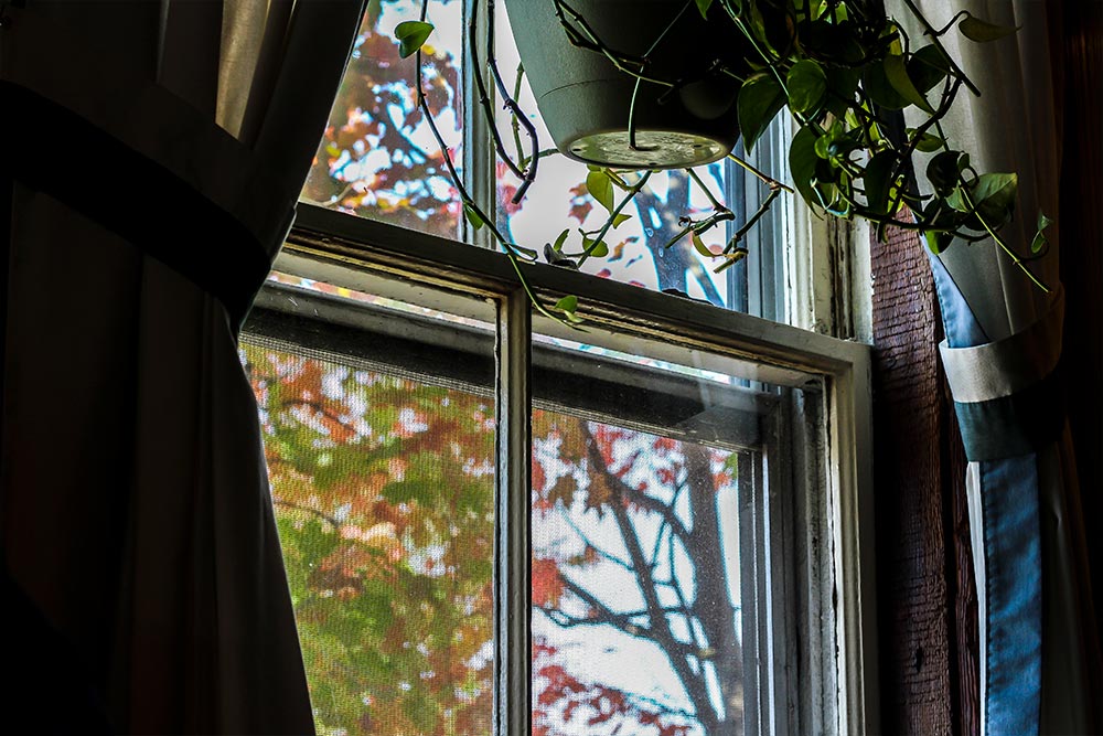 Historic Window in Restaurant