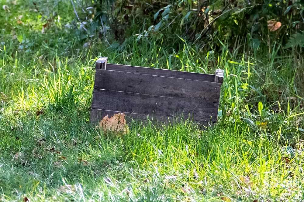 Apple Crate Lying in Grass
