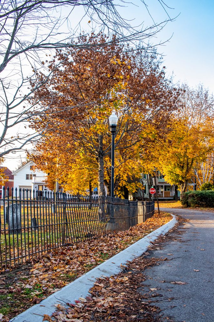Autumn New England Street Lamp & Wrought Iron Fence