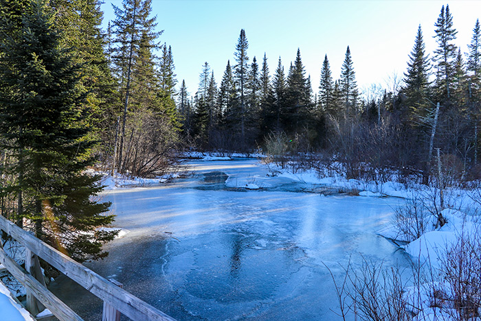 Beaver Dam & Frozen Lake