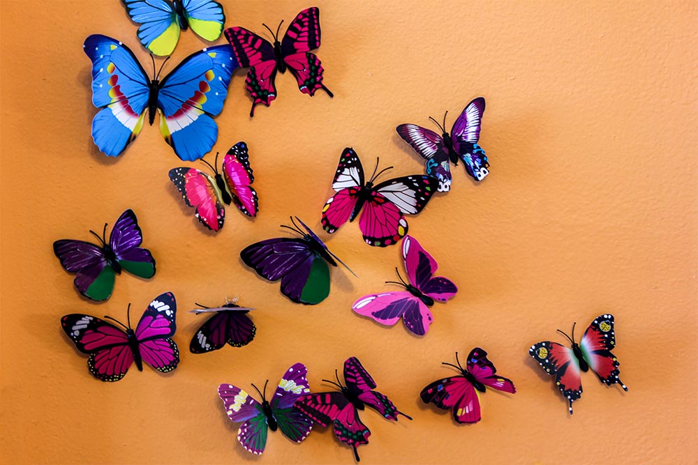 Butterflies on the Wall