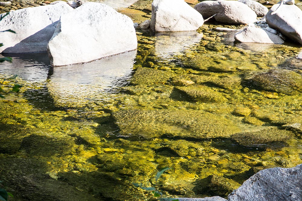 Clear Water in River
