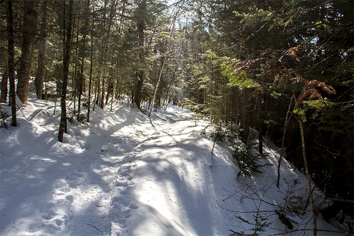 Snow Trail Near Cliff