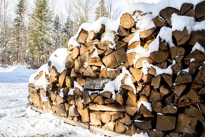 Stacked Firewood Covered with Snow