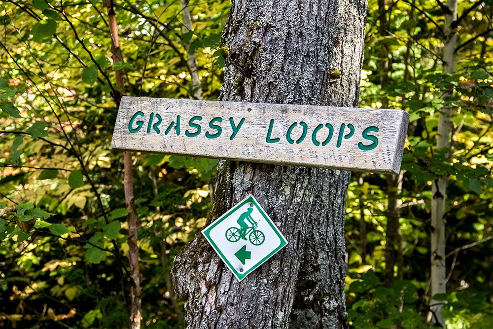 Grassy Loops