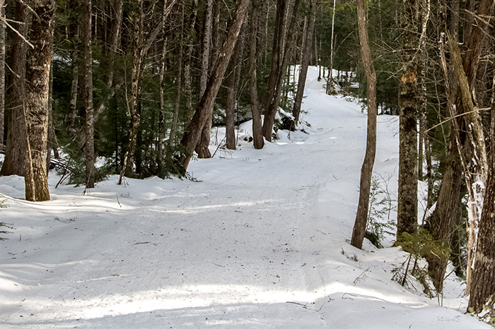 Groomed Snowshoeing Trail